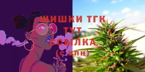 МДПВ Новозыбков