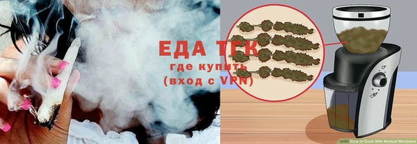 дживик Няндома