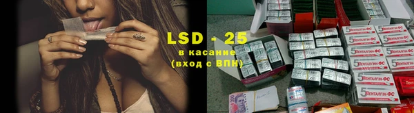 дживик Няндома