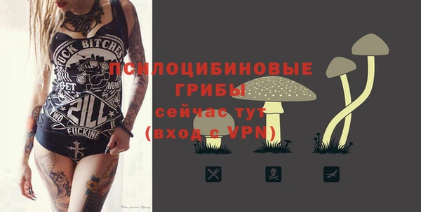 каннабис Новодвинск