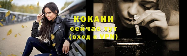МДПВ Новозыбков