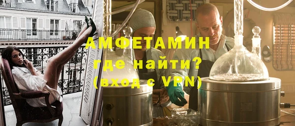 дживик Няндома