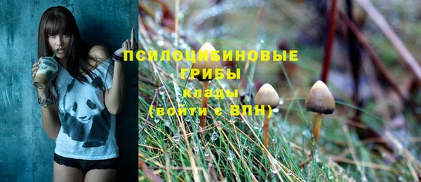 стафф Новокубанск