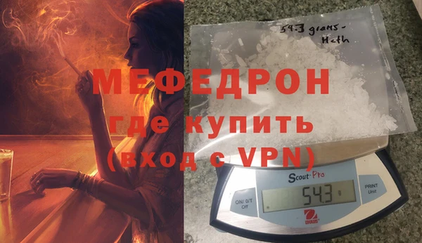 дживик Няндома
