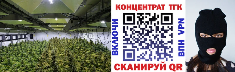 ТГК гашишное масло  mega зеркало  Кувшиново 